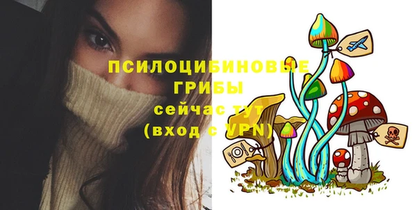 каннабис Инта