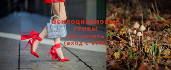 ГАЛЛЮЦИНОГЕННЫЕ ГРИБЫ Новосибирск