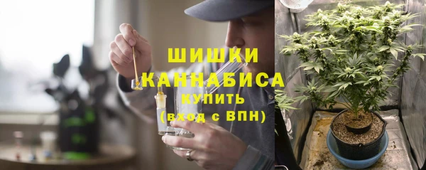 каннабис Инта
