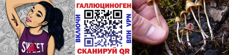 Галлюциногенные грибы ЛСД Шимановск
